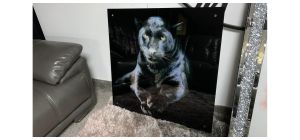 Black Panther Glass Print - Sold As Seen - Ex-display Showroom Product 49274