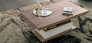 Evolution Ivory and Wood Coffee Table Assembled